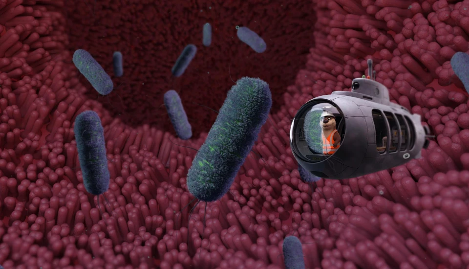 Ecoli Sub