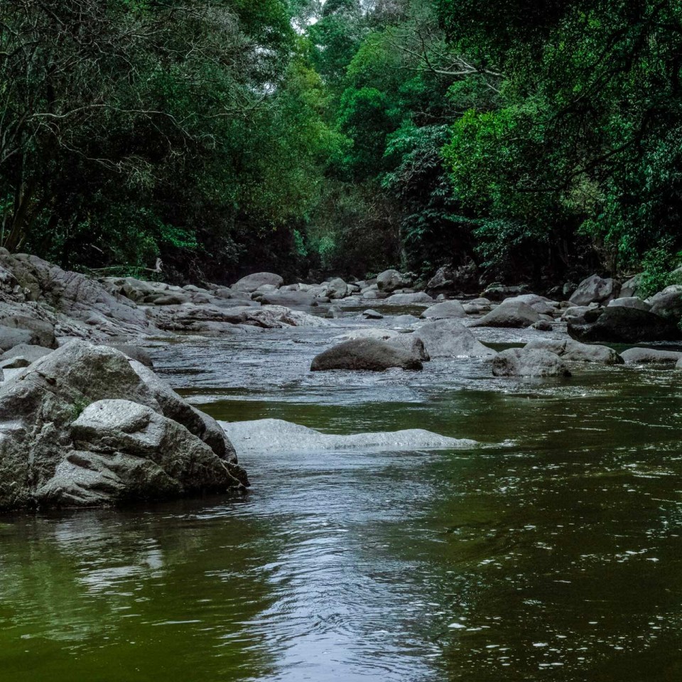 River with rocks and trees