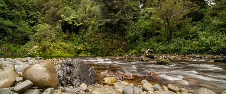 Rocky river bed