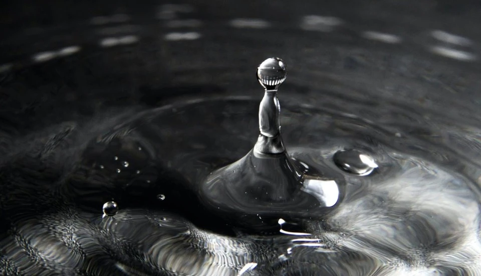 Water Droplet in Black and White