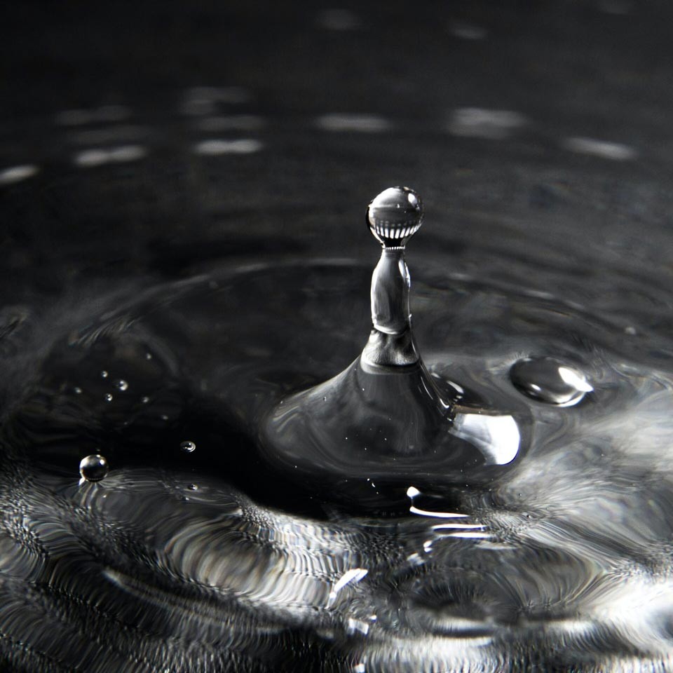 Water Droplet in Black and White