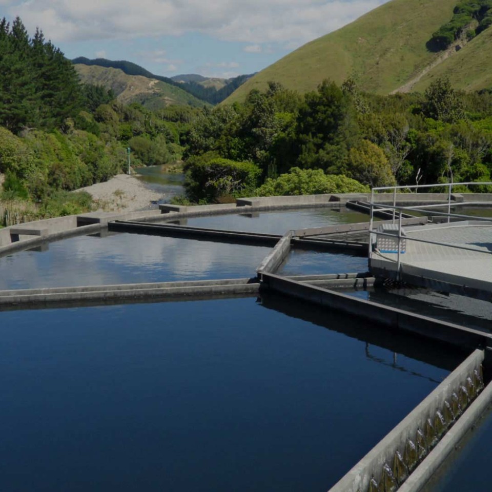 Water Treatment Clarifier in Valley