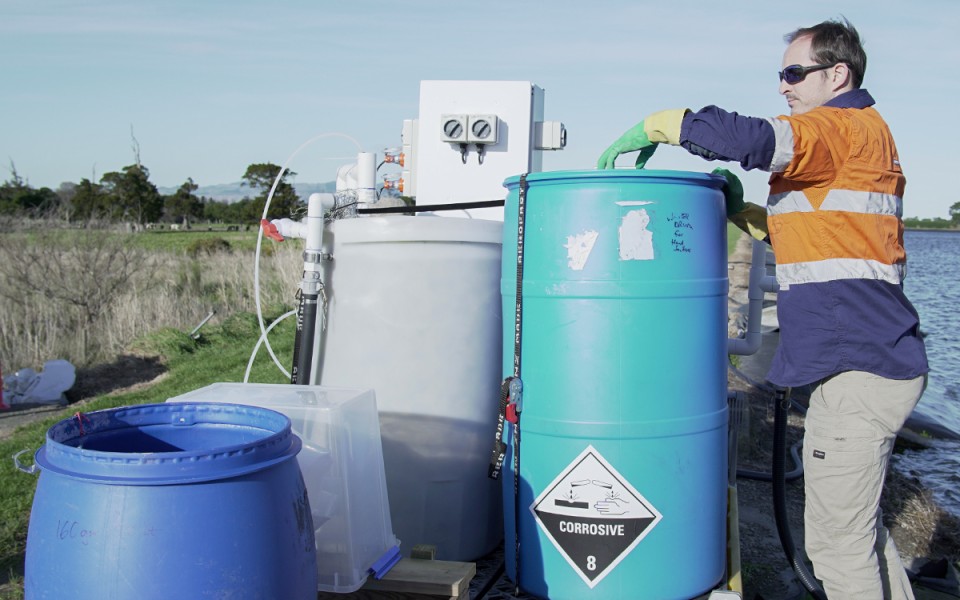 Process Engineer With MBBR Pilot Plant