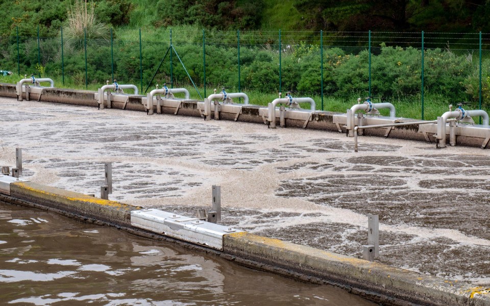 Wastewater Activated Sludge