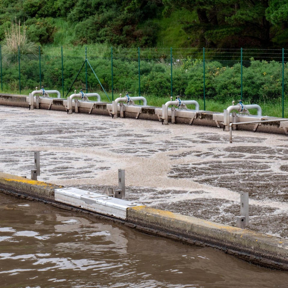 Wastewater Activated Sludge