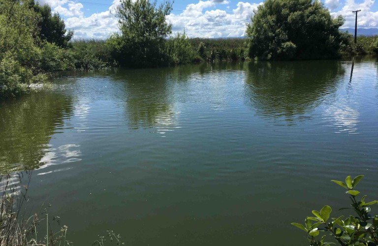 cyanobacteria monitoring plan
