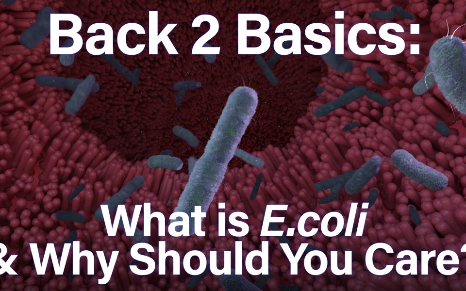 B2B Ecolli Thumb2